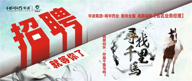 寻找千里马 | 华派集团&bull;澳门新葡萄新京威尼斯药业面 向天下高薪诚聘【省区营业司理】 我是伯乐，，，，你是千里马吗？？