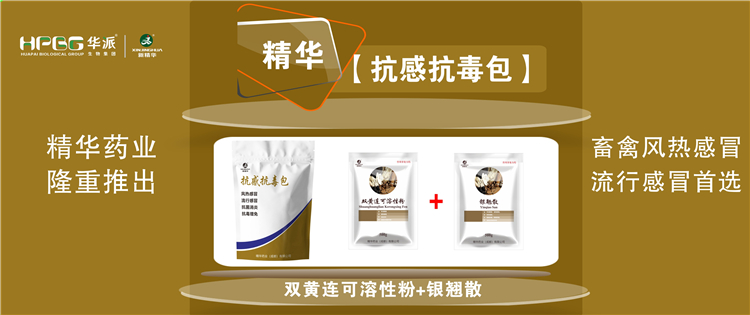 科普：几种常见畜禽伤风与盛行性伤风的防控 |【抗感抗毒包】抗菌消炎、解热排毒、抗毒增免，，，，，畜禽风热伤风、盛行伤风首选!