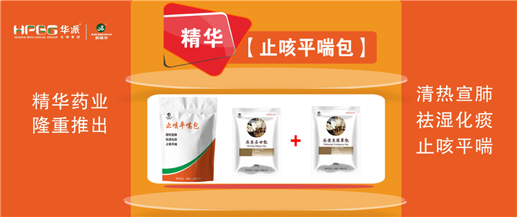 科普：畜禽呼吸道疾病的防控手艺 |【止咳平喘包】清热宣肺、祛湿化痰、止咳平喘，，，，，畜禽呼吸道疾病引起的种种咳喘防控首。。。。。