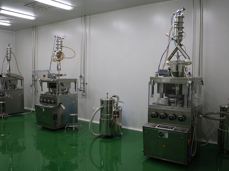 片剂颗粒剂车间：压片机 