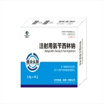 1g注射用氨苄西林钠.jpg